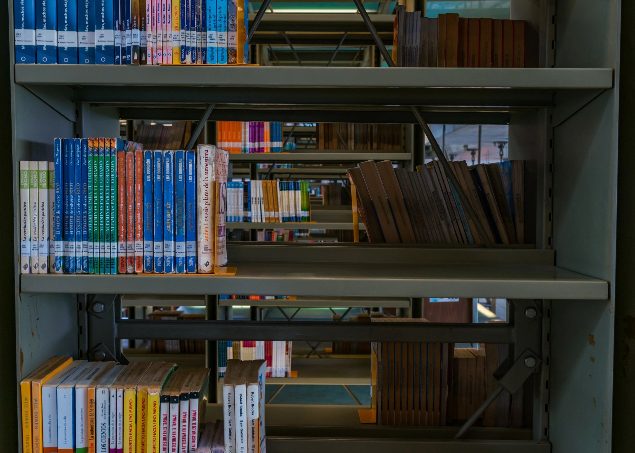Books arranged on a library shelf